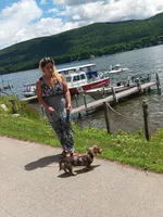 Tiny Toni Toby , a male Miniature Dachshund for sale in Old Chatham, NY – 10 of 10