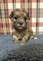 processed/88fc1665-bc80-42e6-bb21-294a76eef7ee/listing/0c2b9722-843e-42cd-add0-9e09b4cde9bf/676aeeda-ede7-49f0-887e-288bdd747a97