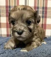 processed/88fc1665-bc80-42e6-bb21-294a76eef7ee/listing/0c2b9722-843e-42cd-add0-9e09b4cde9bf/cd7a431b-e568-4a9a-b0f1-559086989615