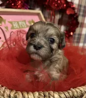 processed/88fc1665-bc80-42e6-bb21-294a76eef7ee/listing/0c2b9722-843e-42cd-add0-9e09b4cde9bf/f0e2b4fd-b6e2-431b-875b-028e14da20e9