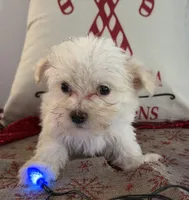 processed/88fc1665-bc80-42e6-bb21-294a76eef7ee/listing/0ec09e39-4a58-4ec8-9e4b-65afd2c06220/041831dc-de3c-486d-b4aa-a757e4ed9241