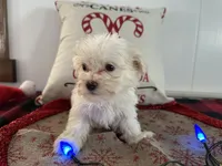 processed/88fc1665-bc80-42e6-bb21-294a76eef7ee/listing/0ec09e39-4a58-4ec8-9e4b-65afd2c06220/7cdfcb07-0e67-4201-ab48-a38fe4e6a034