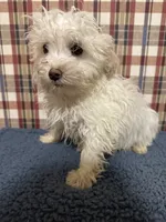 processed/88fc1665-bc80-42e6-bb21-294a76eef7ee/listing/0ec09e39-4a58-4ec8-9e4b-65afd2c06220/a2de3feb-0f96-45b3-ba7a-d8d4988ab358