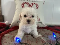 processed/88fc1665-bc80-42e6-bb21-294a76eef7ee/listing/0ec09e39-4a58-4ec8-9e4b-65afd2c06220/f674d566-1c71-43a7-a991-f0b3d958c685