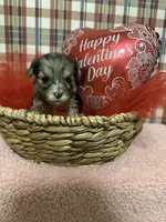 processed/88fc1665-bc80-42e6-bb21-294a76eef7ee/listing/3f3fa2d0-b91b-4c54-8f42-804cd771bdae/13f99f1e-dfd4-49f8-89d1-0e9f0c1f582c