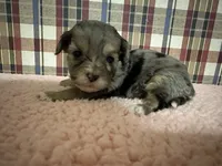 processed/88fc1665-bc80-42e6-bb21-294a76eef7ee/listing/3f3fa2d0-b91b-4c54-8f42-804cd771bdae/9c6e40a7-ddd3-42a2-a6de-72b291d2af67