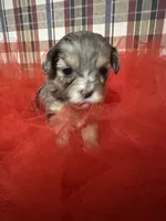 processed/88fc1665-bc80-42e6-bb21-294a76eef7ee/listing/3f3fa2d0-b91b-4c54-8f42-804cd771bdae/d1acd469-b574-4784-8e27-72f50f197441