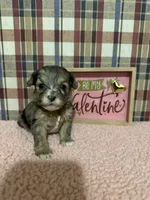 processed/88fc1665-bc80-42e6-bb21-294a76eef7ee/listing/3f3fa2d0-b91b-4c54-8f42-804cd771bdae/dee9c8f1-aa6a-4e34-b684-b51ad12bb66b