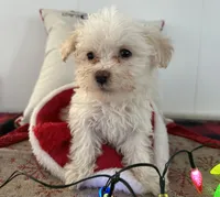 processed/88fc1665-bc80-42e6-bb21-294a76eef7ee/listing/6cacaf83-6a50-4c5e-bfed-35c4d120bb36/18d4b43d-49c1-4508-91f7-4f1d25e6d339