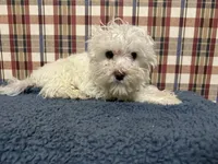 processed/88fc1665-bc80-42e6-bb21-294a76eef7ee/listing/6cacaf83-6a50-4c5e-bfed-35c4d120bb36/2370c059-132d-41d0-aa1f-3f68a8f2864c