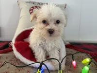 processed/88fc1665-bc80-42e6-bb21-294a76eef7ee/listing/6cacaf83-6a50-4c5e-bfed-35c4d120bb36/8545fdbc-0229-413a-b94d-46af3fb3dc55