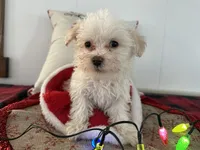 processed/88fc1665-bc80-42e6-bb21-294a76eef7ee/listing/6cacaf83-6a50-4c5e-bfed-35c4d120bb36/9f10b63f-4b4d-4ca9-a78d-6f90dbb4c6f2