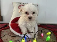 processed/88fc1665-bc80-42e6-bb21-294a76eef7ee/listing/6cacaf83-6a50-4c5e-bfed-35c4d120bb36/e608b68b-ddea-4031-a68c-fb9c6d549f8e