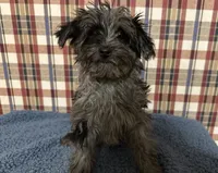 processed/88fc1665-bc80-42e6-bb21-294a76eef7ee/listing/7bd304fa-9e8c-47f7-bacd-5ab80d080987/01a67a0d-2c2c-40ed-99ef-cf384f7e87f6