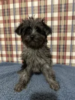 processed/88fc1665-bc80-42e6-bb21-294a76eef7ee/listing/7bd304fa-9e8c-47f7-bacd-5ab80d080987/0db1e30a-cf1d-4bfb-8a34-7baf9789efa0