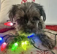 processed/88fc1665-bc80-42e6-bb21-294a76eef7ee/listing/7bd304fa-9e8c-47f7-bacd-5ab80d080987/d1232b8d-759f-4496-9d2c-12250e239686