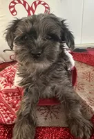 processed/88fc1665-bc80-42e6-bb21-294a76eef7ee/listing/7bd304fa-9e8c-47f7-bacd-5ab80d080987/e598e8a7-85b7-4a25-89ca-6851a287ce83