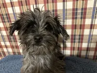 processed/88fc1665-bc80-42e6-bb21-294a76eef7ee/listing/7bd304fa-9e8c-47f7-bacd-5ab80d080987/eec20aaa-8aa6-47be-b9a3-59ac00f91e94