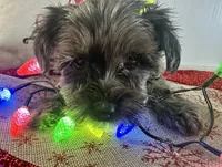 processed/88fc1665-bc80-42e6-bb21-294a76eef7ee/listing/7bd304fa-9e8c-47f7-bacd-5ab80d080987/f362f2b5-2ec3-406d-8b8e-784092fef5af