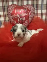 processed/88fc1665-bc80-42e6-bb21-294a76eef7ee/listing/afc79962-a830-4d6c-99ba-c3dcd22e9635/c5124499-86dc-44c8-86c7-68cf7a649510