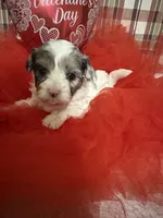 processed/88fc1665-bc80-42e6-bb21-294a76eef7ee/listing/afc79962-a830-4d6c-99ba-c3dcd22e9635/eefc56e9-cff7-42c4-b371-e8ed3203418f