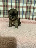 processed/88fc1665-bc80-42e6-bb21-294a76eef7ee/listing/b2e2e4b4-04e6-4068-9ffc-1f6763d5ea44/b24dbe6c-4e59-4a94-8b57-649387c08972