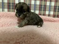 processed/88fc1665-bc80-42e6-bb21-294a76eef7ee/listing/b2e2e4b4-04e6-4068-9ffc-1f6763d5ea44/e1bbde13-690f-436a-87c4-86a74b3b9c7d