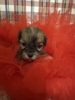 processed/88fc1665-bc80-42e6-bb21-294a76eef7ee/listing/b2e2e4b4-04e6-4068-9ffc-1f6763d5ea44/ee90f899-ec95-4dea-a485-0532b92bf3b6