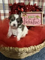 processed/88fc1665-bc80-42e6-bb21-294a76eef7ee/listing/ba350d77-a5aa-4ba3-9008-93568bd502a0/009437ee-a866-41a6-abbb-7fff571c5bd1