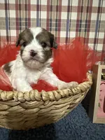 processed/88fc1665-bc80-42e6-bb21-294a76eef7ee/listing/ba350d77-a5aa-4ba3-9008-93568bd502a0/ac07e35f-55ff-4ab4-a9dc-6de7447c12d4