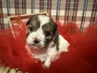 processed/88fc1665-bc80-42e6-bb21-294a76eef7ee/listing/ba350d77-a5aa-4ba3-9008-93568bd502a0/d8efae5f-da3d-4bb0-9a95-a56bd64839fb