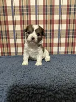 processed/88fc1665-bc80-42e6-bb21-294a76eef7ee/listing/ba350d77-a5aa-4ba3-9008-93568bd502a0/daa78d6c-e2cc-464f-a523-2fd339bbb96f