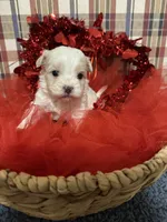 processed/88fc1665-bc80-42e6-bb21-294a76eef7ee/listing/bf99aed7-ff4d-4ffa-a738-662bab5f9014/0e7c6043-5b28-461d-a362-3afdb4144069