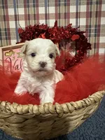 processed/88fc1665-bc80-42e6-bb21-294a76eef7ee/listing/bf99aed7-ff4d-4ffa-a738-662bab5f9014/a22909dc-754c-4bc6-b331-88b564feb98c