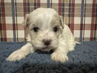 processed/88fc1665-bc80-42e6-bb21-294a76eef7ee/listing/bf99aed7-ff4d-4ffa-a738-662bab5f9014/f62057fd-6755-47b5-99eb-234894eea69a