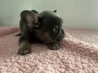 processed/88fc1665-bc80-42e6-bb21-294a76eef7ee/listing/c7c094a2-e646-41f0-8d71-cea3c6464430/44dd1fb8-f9b2-4169-99aa-dc91283297e7