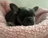 processed/88fc1665-bc80-42e6-bb21-294a76eef7ee/listing/c7c094a2-e646-41f0-8d71-cea3c6464430/66525e19-738f-4ae8-9a8a-e02a14f2572a