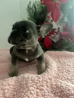 processed/88fc1665-bc80-42e6-bb21-294a76eef7ee/listing/c7c094a2-e646-41f0-8d71-cea3c6464430/b72c1b57-c9c5-4d04-b072-43e850ad706b