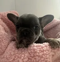 processed/88fc1665-bc80-42e6-bb21-294a76eef7ee/listing/c7c094a2-e646-41f0-8d71-cea3c6464430/dd0429ee-6548-4e48-93f7-14079e573fef