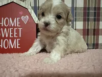 processed/88fc1665-bc80-42e6-bb21-294a76eef7ee/listing/ccf22a6c-41ab-4cc9-92bf-356ea6131ba2/31b17cde-fbf3-451b-84bb-c21ec1209df7