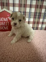 processed/88fc1665-bc80-42e6-bb21-294a76eef7ee/listing/ccf22a6c-41ab-4cc9-92bf-356ea6131ba2/31e55aa2-f71e-4328-9d0c-199046409d4c