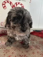 processed/88fc1665-bc80-42e6-bb21-294a76eef7ee/listing/efbfdc8c-7ea4-458e-a8cf-188495cc3666/09badf1a-bd87-4440-931b-e078a9b885df