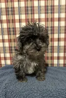 processed/88fc1665-bc80-42e6-bb21-294a76eef7ee/listing/efbfdc8c-7ea4-458e-a8cf-188495cc3666/6b259652-35a4-4fa9-b07d-fd48189a0a9c