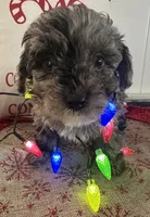 processed/88fc1665-bc80-42e6-bb21-294a76eef7ee/listing/efbfdc8c-7ea4-458e-a8cf-188495cc3666/766d3110-429e-48eb-b331-ca958993812e