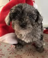 processed/88fc1665-bc80-42e6-bb21-294a76eef7ee/listing/efbfdc8c-7ea4-458e-a8cf-188495cc3666/79da4b5a-611a-465f-8a55-784fb541d69e