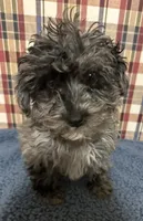 processed/88fc1665-bc80-42e6-bb21-294a76eef7ee/listing/efbfdc8c-7ea4-458e-a8cf-188495cc3666/9e08bfb8-2316-476f-97f4-b1d45b07928f