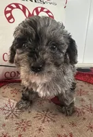 processed/88fc1665-bc80-42e6-bb21-294a76eef7ee/listing/efbfdc8c-7ea4-458e-a8cf-188495cc3666/a6fec146-35a3-4755-8305-23de7ef1eabb