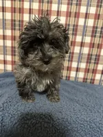 processed/88fc1665-bc80-42e6-bb21-294a76eef7ee/listing/efbfdc8c-7ea4-458e-a8cf-188495cc3666/d8ab6730-5cc9-4c03-914d-55016c778ef6