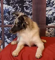 processed/88fd669b-d21a-4138-971c-3f2d242fb354/listing/2f304f16-3940-47c9-ba36-92fcfd6a0ca3/0eae11af-e59a-48d6-b74a-12261b606612