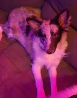 processed/88fd669b-d21a-4138-971c-3f2d242fb354/listing/2f304f16-3940-47c9-ba36-92fcfd6a0ca3/56191411-777f-4614-a5af-77c3fb30481f